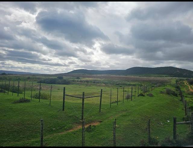 FARM FOR SALE IN UITENHAGE